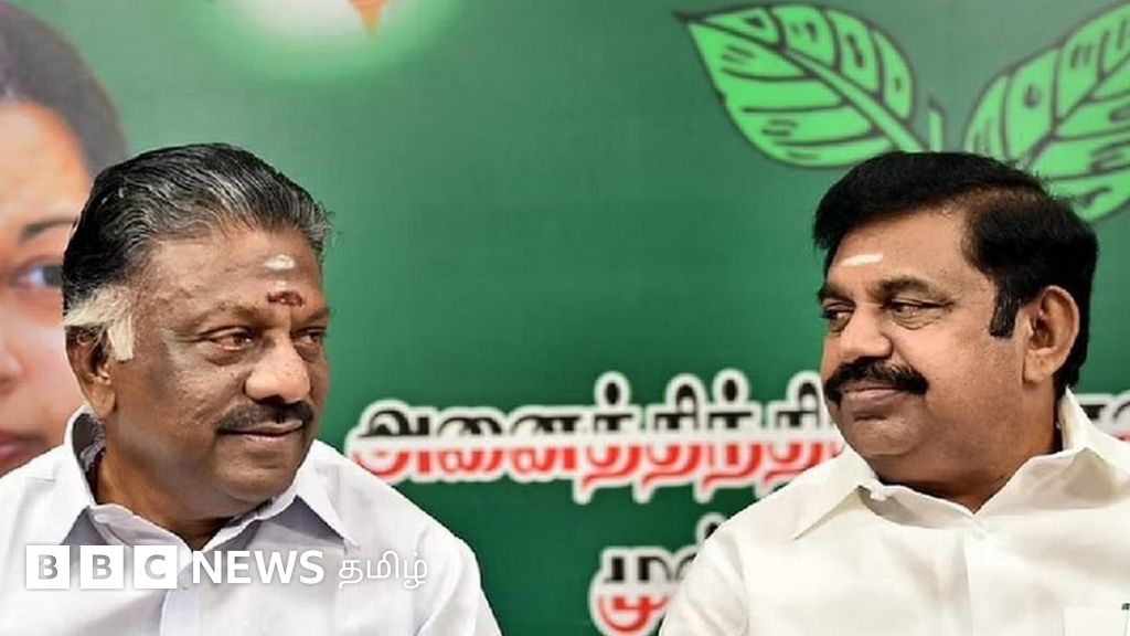 அதிமுக பொதுக் குழு செல்லும் என்ற தீர்ப்பு: ஓபிஎஸ் என்ன செய்வார்? எடப்பாடி என்ன செய்வார்?