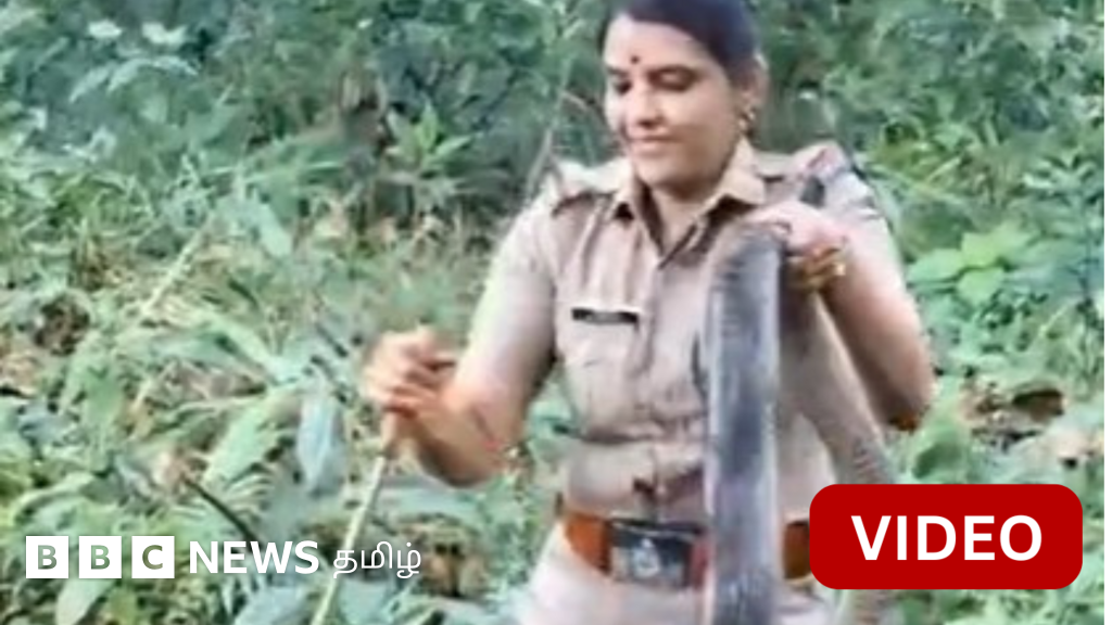 18 அடி நீள ராஜநாகத்தை லாவகமாக பிடித்த பெண் அதிகாரி