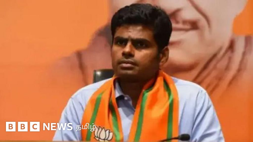 தமிழ்நாடு பாஜகவில் நிர்வாகிகள் அடுத்தடுத்து நீக்கம் - கட்சிக்குள் என்ன நடக்கிறது?