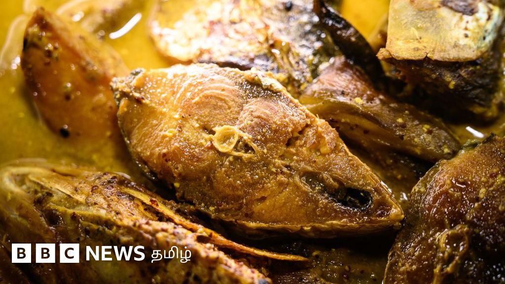 மீன் முள்ளை விழுங்குவது ஆபத்தா? தொண்டை அல்லது வயிற்றுக்குள் சிக்கினால் என்ன ஆகும்?