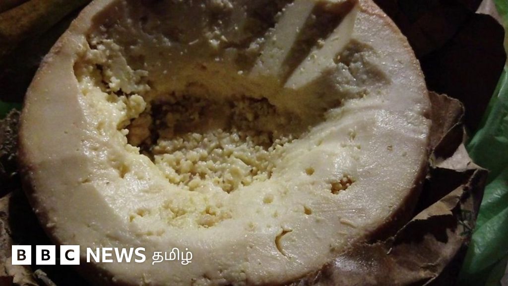 கொஞ்சம் தவறினாலும் நஞ்சாகும் 5 உணவு வகைகள்