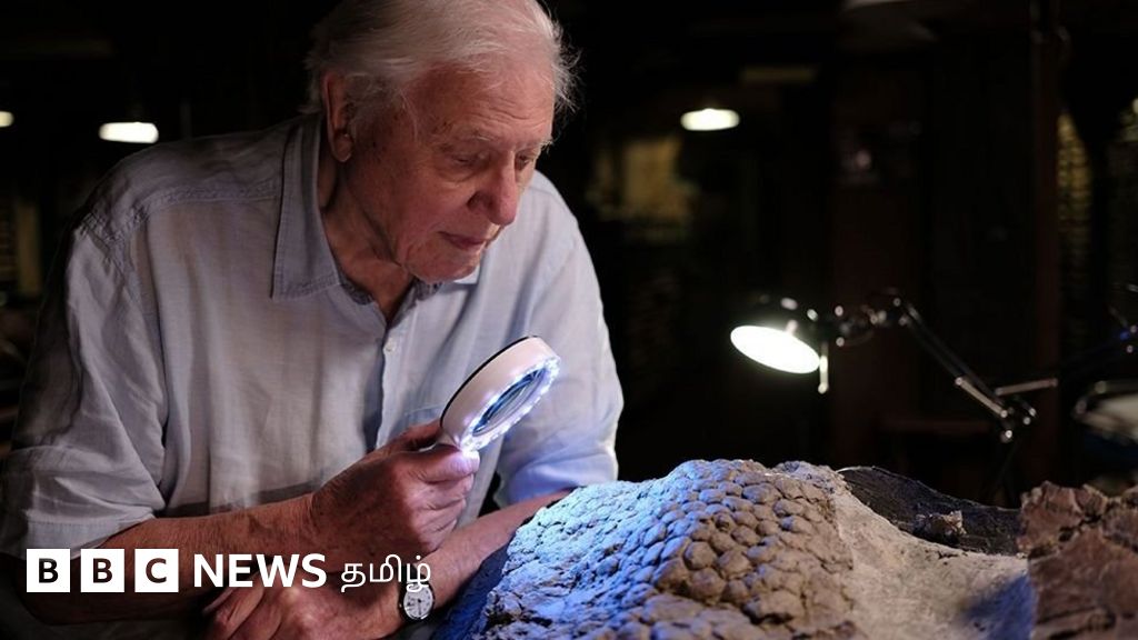 அறிவியல் அதிசயம்: இறந்த டைனோசரின் புதைபடிவம் கிடைக்க காரணமான சிறுகோள் மோதல்