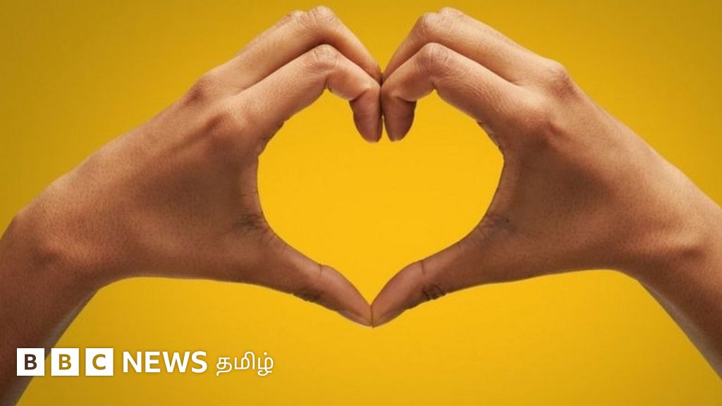 காதல், நெருக்கத்தை கண்டறிய உதவும் 'போலி டேட்டிங் ஒத்திகை' வாய்ப்புகள்