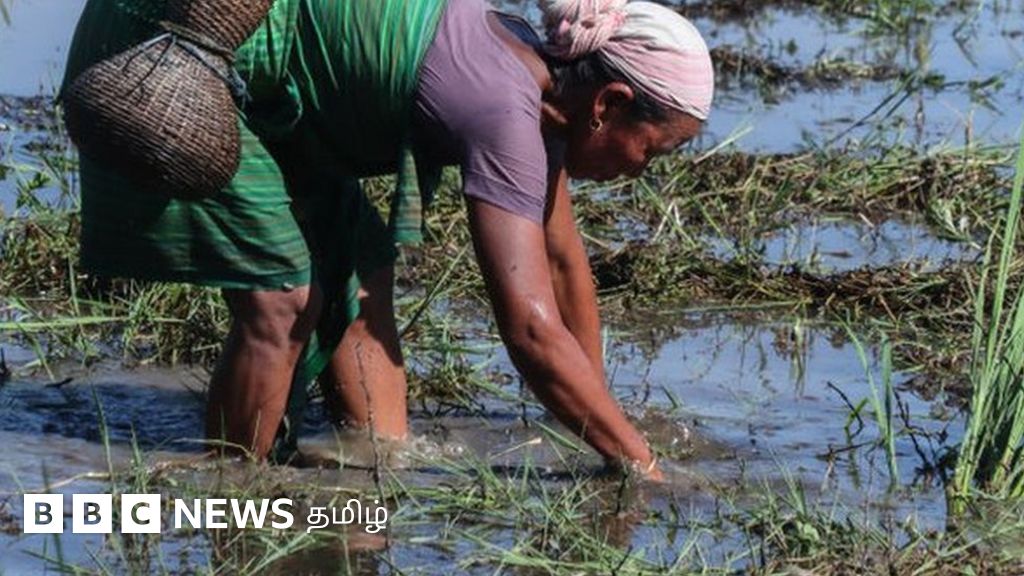 மண்ணுக்கு 'முழு உடல் பரிசோதனை' செய்தீர்களா? அது ஏன் முக்கியம்?
