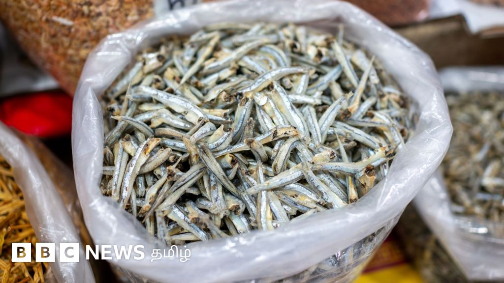 ஊட்டச்சத்துகள் நிறைந்த கருவாட்டில் ஒளிந்திருக்கும் ஆபத்து - குழந்தைகள் சாப்பிடலாமா? 