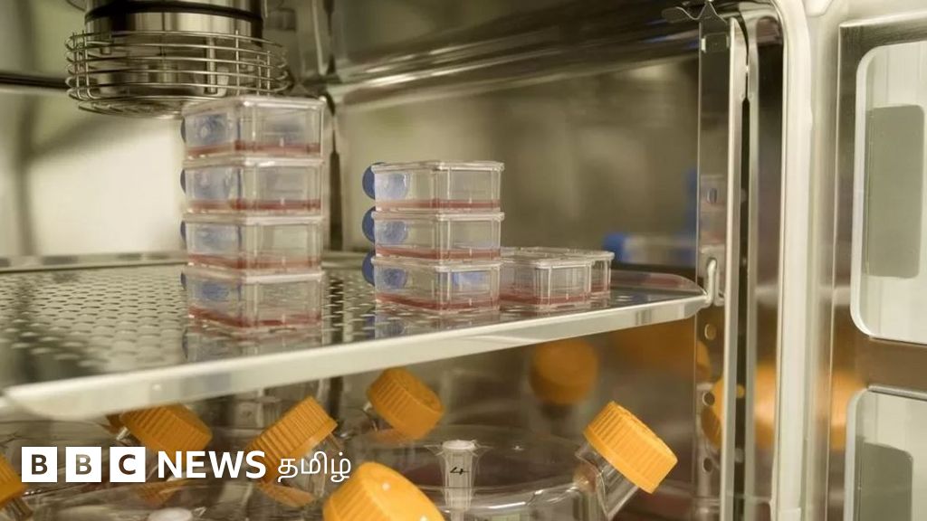 ஆய்வகத்தில் தயாரிக்கப்படும் ரத்தம்: உலகில் முதன் முறையாக மக்களுக்கு கொடுக்கப்பட்டு சோதனை