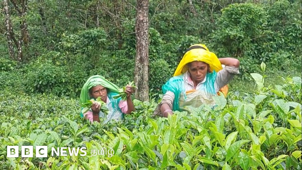 இலங்கையில் 200 வருடங்களாக வசிப்பிட முகவரியின்றி வாழும் இந்திய வம்சாவளி தமிழர்கள் - கள நிலவரம்
