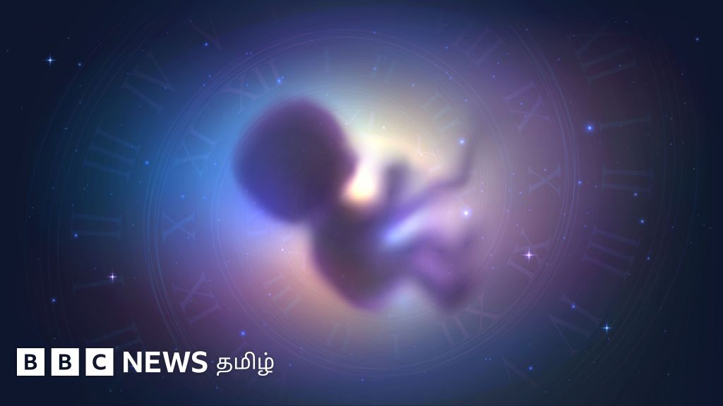 விண்வெளியில் மனிதன் குழந்தை பெற்றுக்கொள்ள முடியுமா? - இயற்கைக்கு சவால் விடும் விஞ்ஞானிகள்