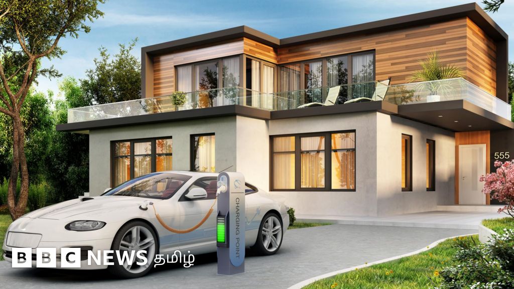 மரத்திலிருந்து உருவாகும் பேட்டரிகள் - மின்சார வாகனங்களில் பயன்படுத்த முடியுமா?