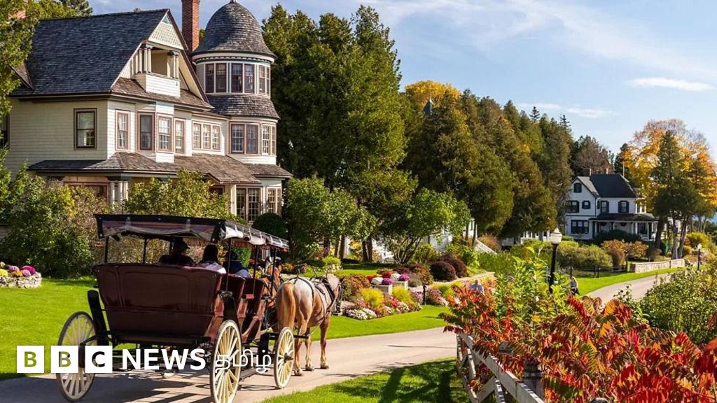 ஆளுக்கு ஒரு குதிரை: அமெரிக்காவில் 'உலகின் கார் தலைநகரம்' அருகே காரே இல்லாத அழகிய தீவு