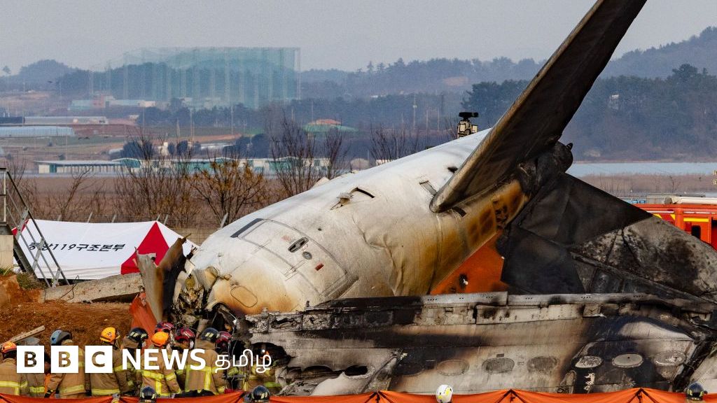 179 பேர் பலி: விபத்துக்கு முன் விமானத்திற்கு என்ன நடந்தது? பயணியின் கடைசி குறுஞ்செய்தியில் முக்கிய தகவல்