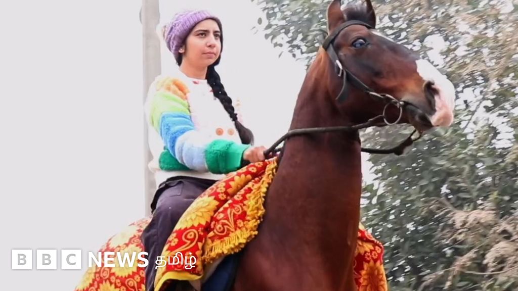 குதிரைப் பண்ணை நடத்தும் பஞ்சாப் மற்றும் ஹரியாணா பெண்கள் - காணொளி