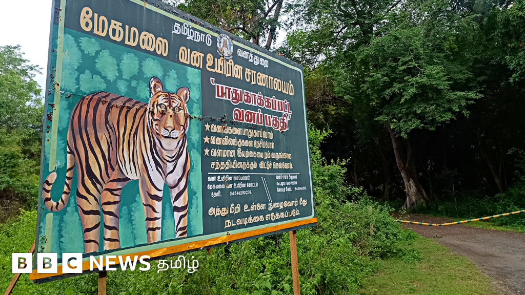 மேகமலை காட்டுக்குள் 55 வயது நபரை வனத்துறையினர் சுட்டுக் கொன்றது ஏன்?