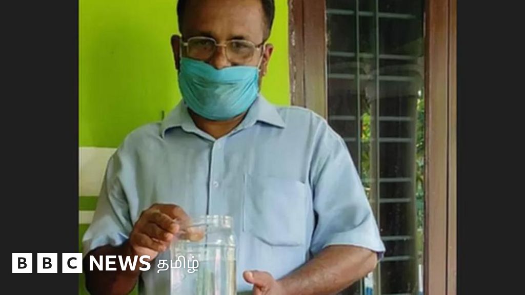 பாதலா ஈல் லோச்: நிலத்தடி நீரில் வாழும் இந்த மீன்களுக்கும் டைனோசருக்கும் என்ன தொடர்பு?