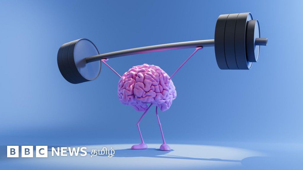 நினைவாற்றலை அதிகரிக்க உதவும் உணவுகள் எவை? எந்த உணவுப்பழக்கம் நல்லது?