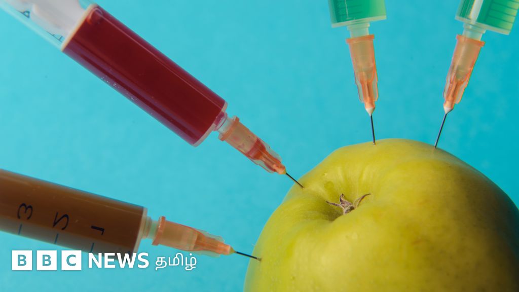 சென்னையில் கோடைகால பழங்கள்: இவற்றில் கலப்படத்தை எப்படி கண்டறிவது?