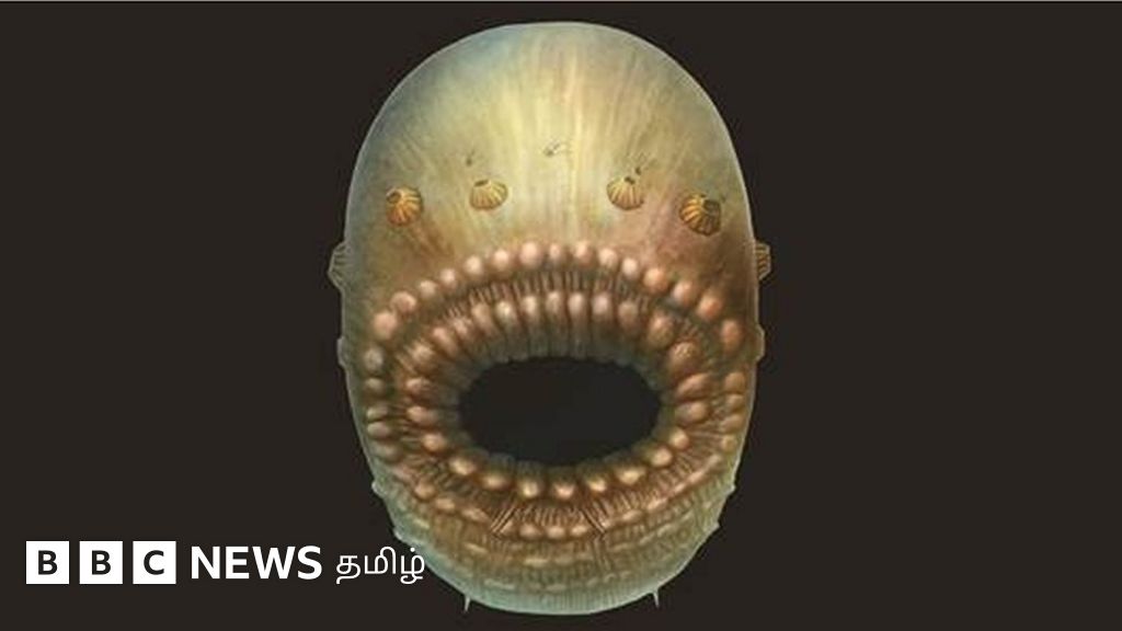 மனித இனத்தின் மூதாதை உயிரினம் மீதான மர்மம் விலகியது: மலப்புழை இல்லாத உயிரினத்தின் வரலாறு என்ன?