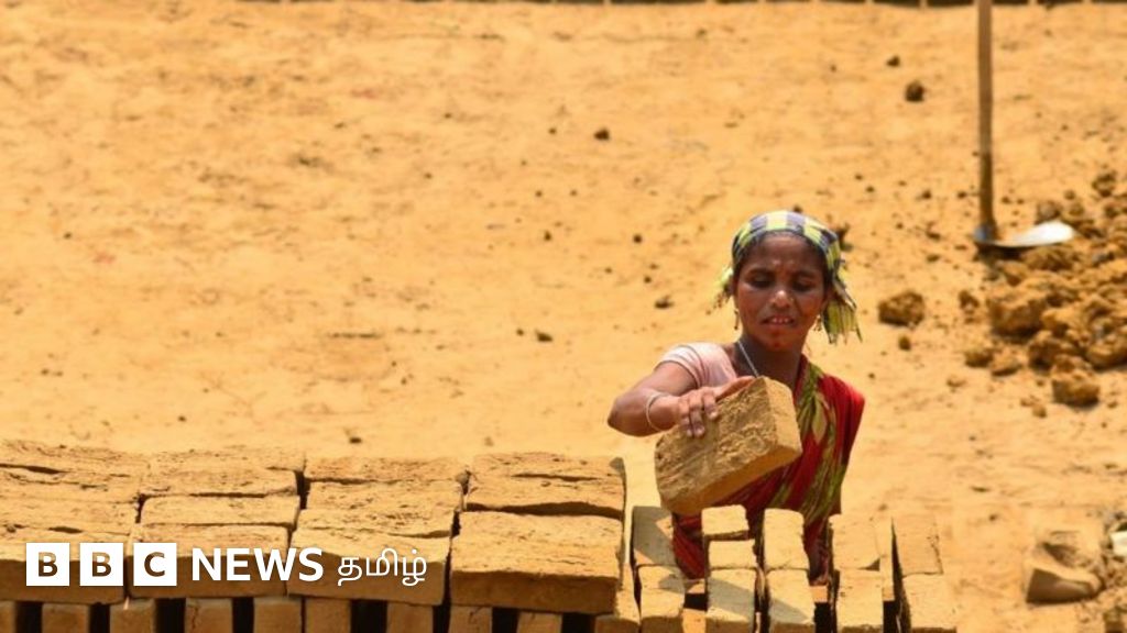 வட மாநில தொழிலாளர்கள் தமிழ்நாட்டில் 100 ரூபாய்க்கு வேலை செய்கிறார்களா? - உண்மை நிலவரம்