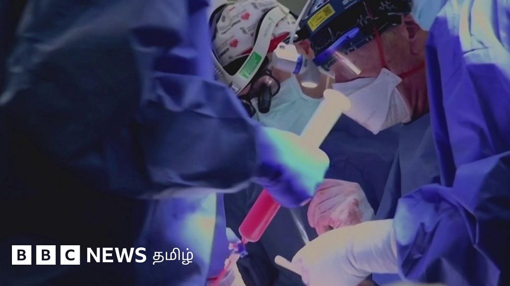 மனிதருக்கு பன்றி இதயம்: விலங்குகள் நல ஆர்வலர்கள் என்ன சொல்கிறார்கள்?