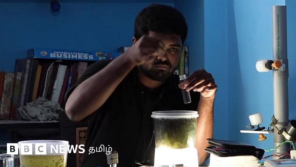 அறிவியல் ஆய்வு: 203 நுண்ணுயிரிகளை வகைப்படுத்திய தமிழ்நாடு மாணவர்கள்