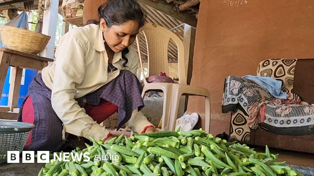 குஜராத் பெண்களின் வாழ்க்கையை மாற்றிய வெண்டைக்காய்
