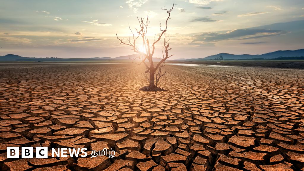 பருவநிலை மாற்றம்: உலக அரசாங்கங்களின் ‘இரட்டை வேடத்தை’ எதிர்த்து சாலையில் இறங்கிய 2000 விஞ்ஞானிகள்