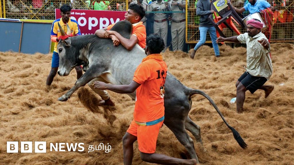 பாலமேடு ஜல்லிக்கட்டு தொடங்குவதில் தாமதம்