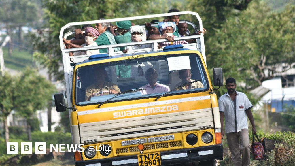மாஞ்சோலை எஸ்டேட்: சுரண்டல்கள், அடக்குமுறைகள் நிறைந்த சோக வரலாறு