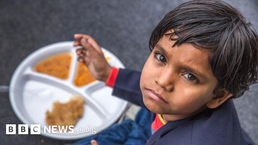 நோய் எதிர்ப்பு சக்தியை அதிகரிக்க என்ன சாப்பிடலாம்? வைட்டமின் மாத்திரைகள் உடலுக்கு நல்லதா?