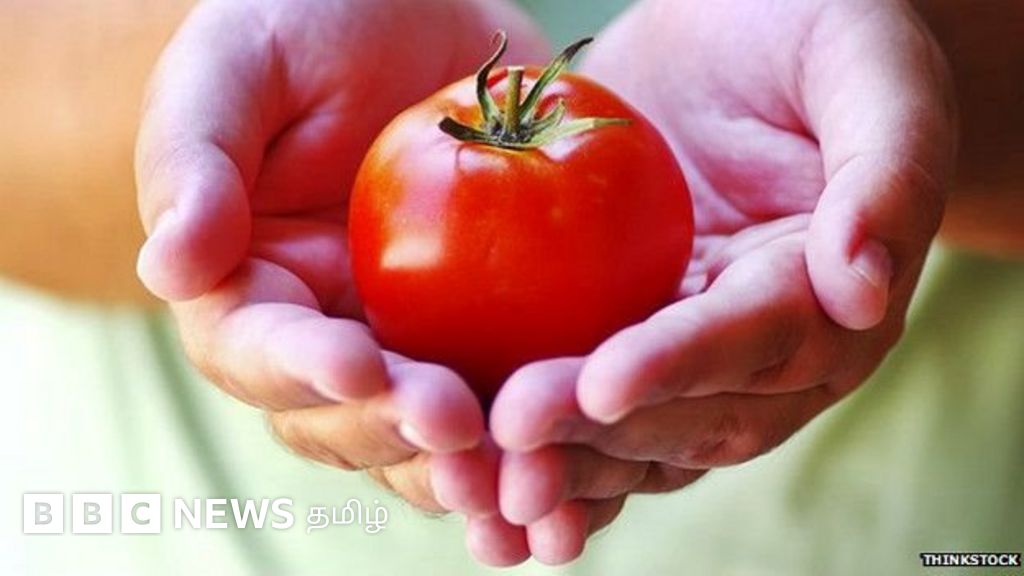 தமிழ்நாட்டில் தக்காளி விலை உயர்வுக்குக் காரணம் என்ன?