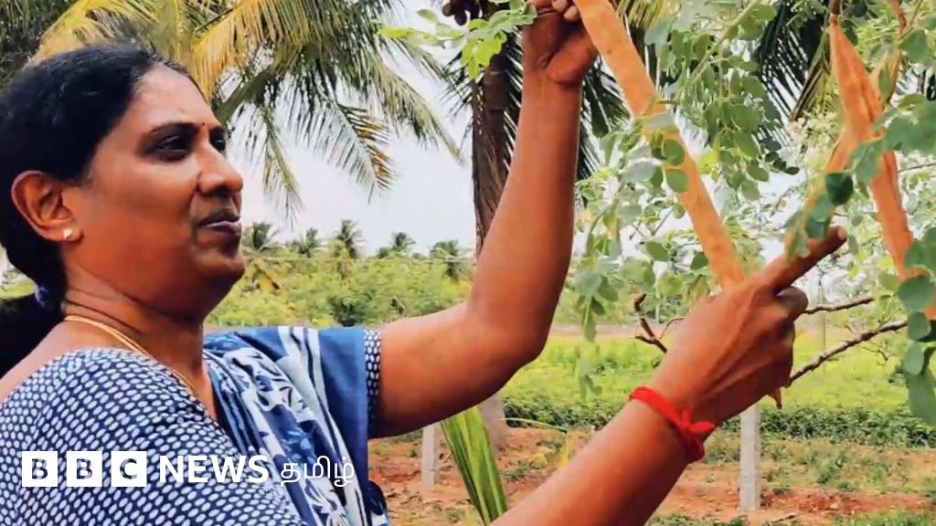 இயற்கை முறையில் 'முருங்கை எண்ணெய்' உற்பத்தி செய்து சாதிக்கும் பெண் – கொணொளி