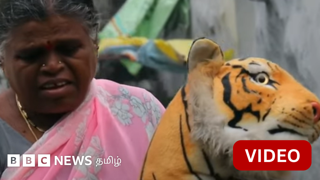 குரங்குகளை விரட்ட புலி பொம்மை; நிம்மதிக்கு வழிதேடும் கிராம மக்கள்