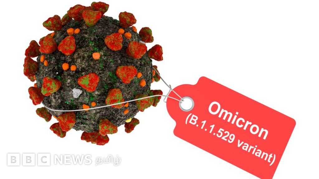 ஒமிக்ரான் கொரோனா திரிபு முதல் முறையாக இந்தியாவில் கண்டுபிடிப்பு: கர்நாடகத்தில் இருவருக்கு உறுதி