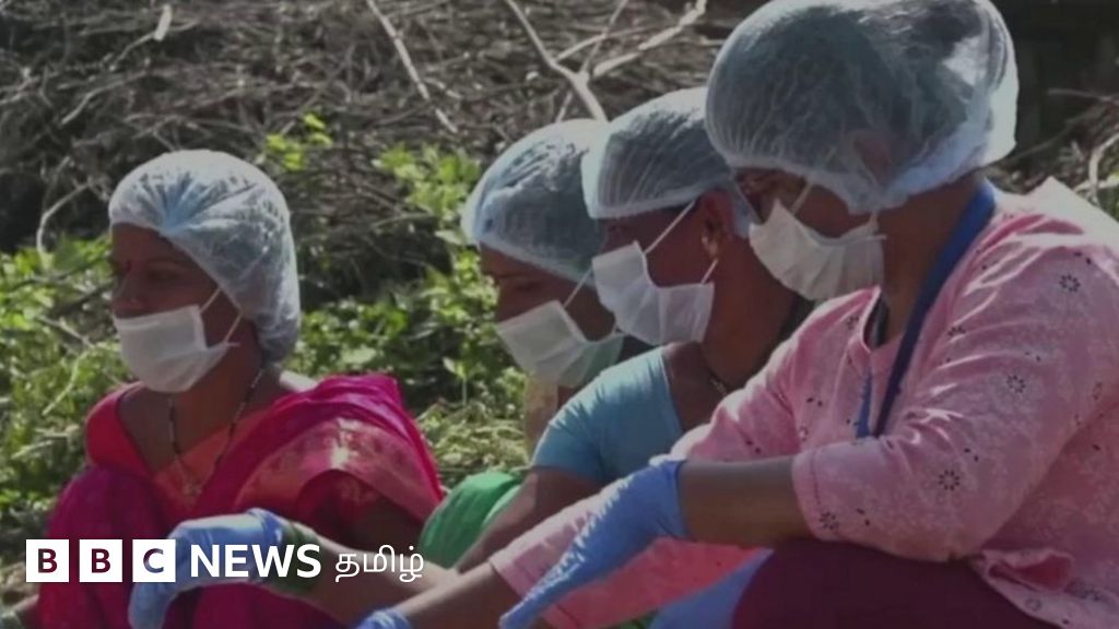 உணவுப் பொருட்களைப் பதப்படுத்தும் தொழிலில் வீட்டிலிருந்தே சம்பாதிக்கும் பெண்கள்