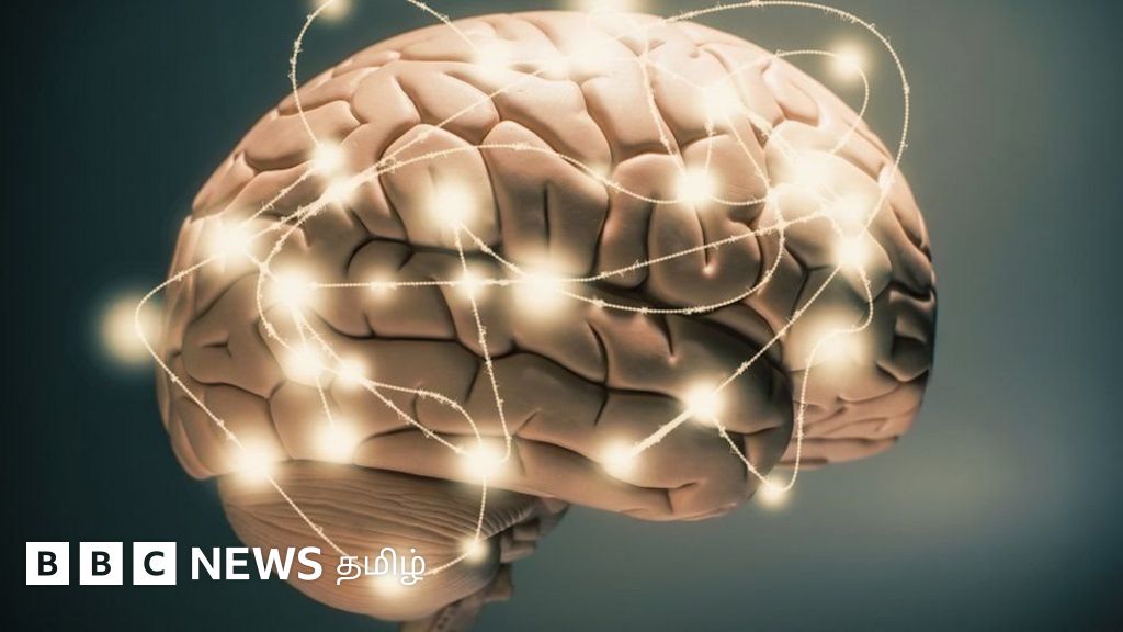 மேஜிக் காளான்களில் உள்ள சைலோசிபின் மன அழுத்தத்திற்கு மருந்தாக பயன்படுகிறதா?