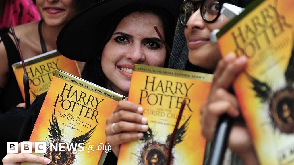 ‘ஹாரி பாட்டர்’ - இனி டிவி தொடரில் - ரசிகர்களின் எதிர்பார்ப்புகள் என்ன?