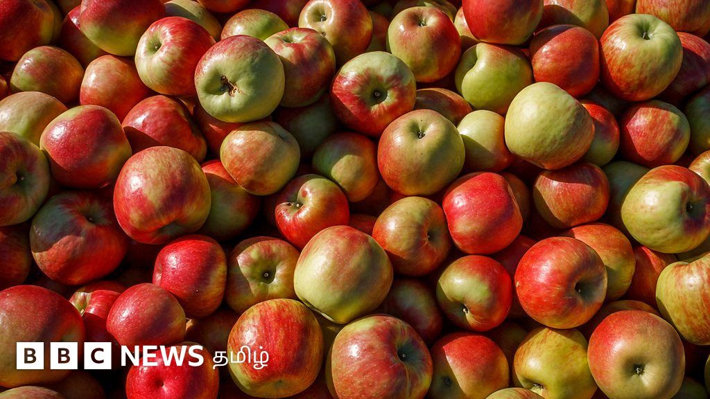 தினமும் ஒரு ஆப்பிள் சாப்பிட்டால் மருத்துவரை தவிர்க்கலாமா? உண்மை என்ன?