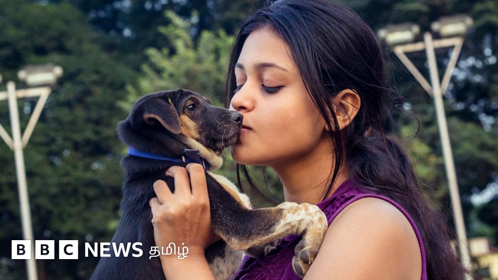 வளர்ப்பு நாய்களுக்கு முத்தம் கொடுப்பதால் ஏற்படும் ஆபத்துகள்