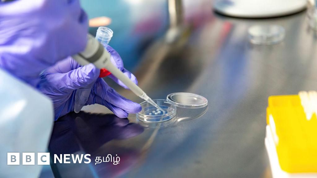 தமிழ்நாடு அரசு மருத்துவமனைகளில் செயற்கை கருத்தரிப்பு முறை அறிமுகம் – சேவைகளைப் பெறுவது எப்படி?