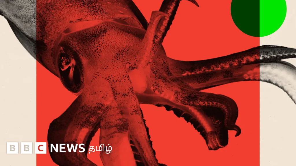 மனிதன் போலவே விலங்குகளுக்கும் 'உணர்வு' உண்டா? ஆய்வில் வெளிவந்த உண்மைகள்