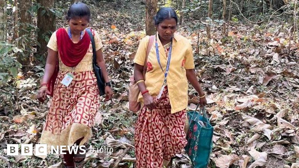 'மரத்திற்கு பின்னே யானை நின்றாலும் தெரியாது' - இவர்கள் ஆபத்தான காட்டுவழிப் பயணம் மேற்கொள்வது யாருக்காக?