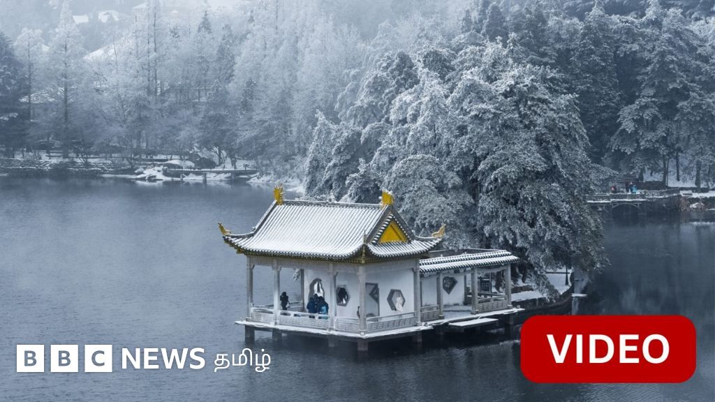 பனிப்போர்வை போர்த்திய காடு - பிரமிக்க வைக்கும் சீன நகரம் 