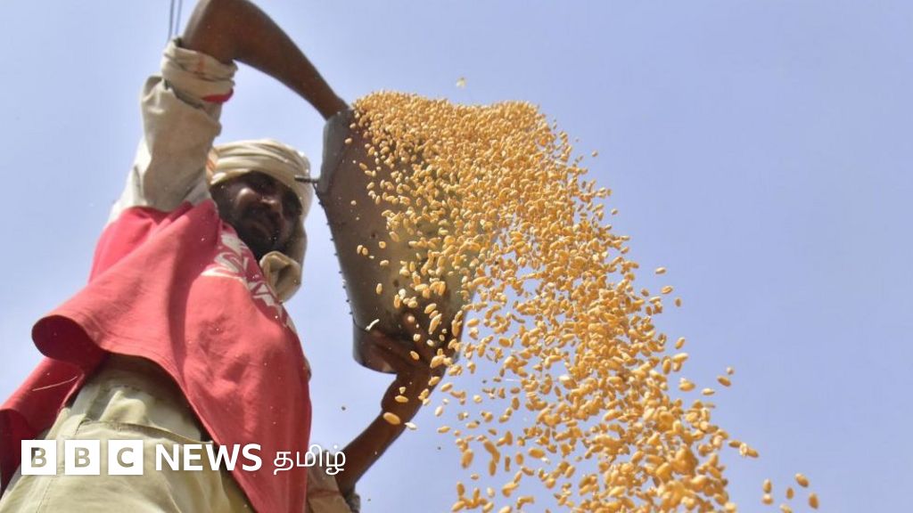 கடனில் சிக்கித் தவிக்கும் இந்திய மாநிலங்கள் 'மினி இலங்கை' ஆக மாறும் ஆபத்தா?