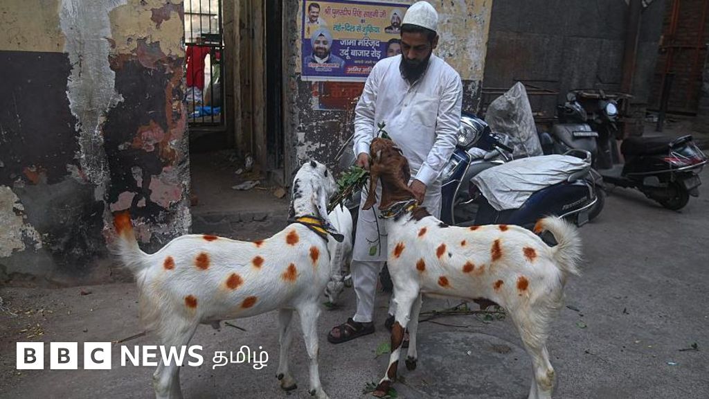 முஸ்லிம்கள் பக்ரீத் பண்டிகையன்று ஆடு, மாடு, ஒட்டகங்களை பலியிடுவது ஏன்?