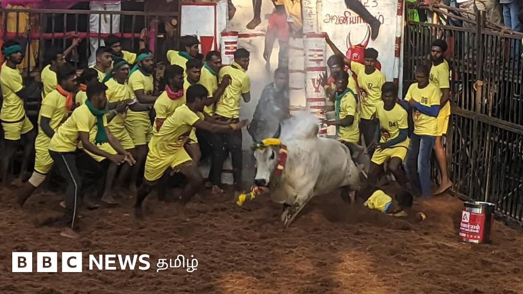 'கொம்பு வெச்ச சிங்கம்' - வெள்ளையன் காளையின் வீறுநடை அவனியாபுரத்தில் தொடர்கிறது