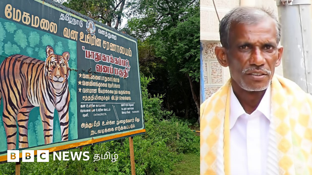 தேனி: மேகமலை காட்டுக்குள் விவசாயிக்கு என்ன நடந்தது? வனத்துறை துப்பாக்கியால் சுடலாமா? 