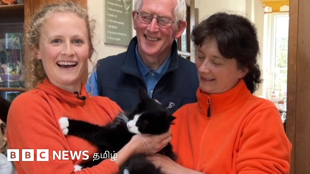 சொத்துகளை விற்று 200 பூனைகளை வளர்க்க விரும்பும் 'சந்தோஷ குடும்பம்