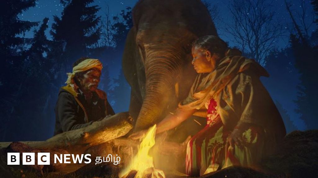 ஆஸ்கருக்கு சென்ற `எலிபெண்ட் விஸ்பரர்ஸ்`  : பொம்மன், பெள்ளி இப்போது என்ன செய்கிறார்கள்?