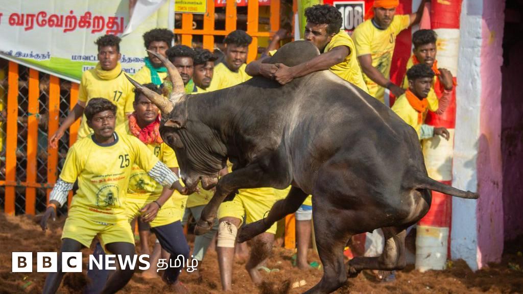 அவனியாபுரம் ஜல்லிக்கட்டு தொடங்கியது - இந்தாண்டு புதிய மாற்றங்கள் என்னென்ன தெரியுமா?