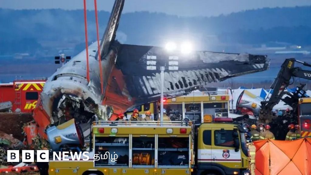 தென் கொரியா: 179 பேர் இறந்த விமான விபத்துக்கு பறவைகள்தான் காரணமா? இதுவரை தெரியவந்தது என்ன?